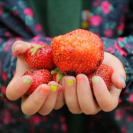 The Edible Playground / Short doc