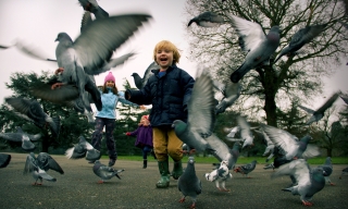 Gunnersbury Birds